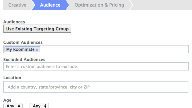 Targeted Custom Audience Advertising on Facebook
